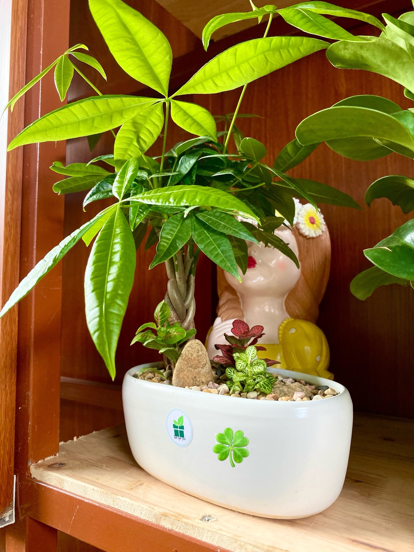 z6536986070429_b33e327cfc19f36b0f92d94c1c4d599a