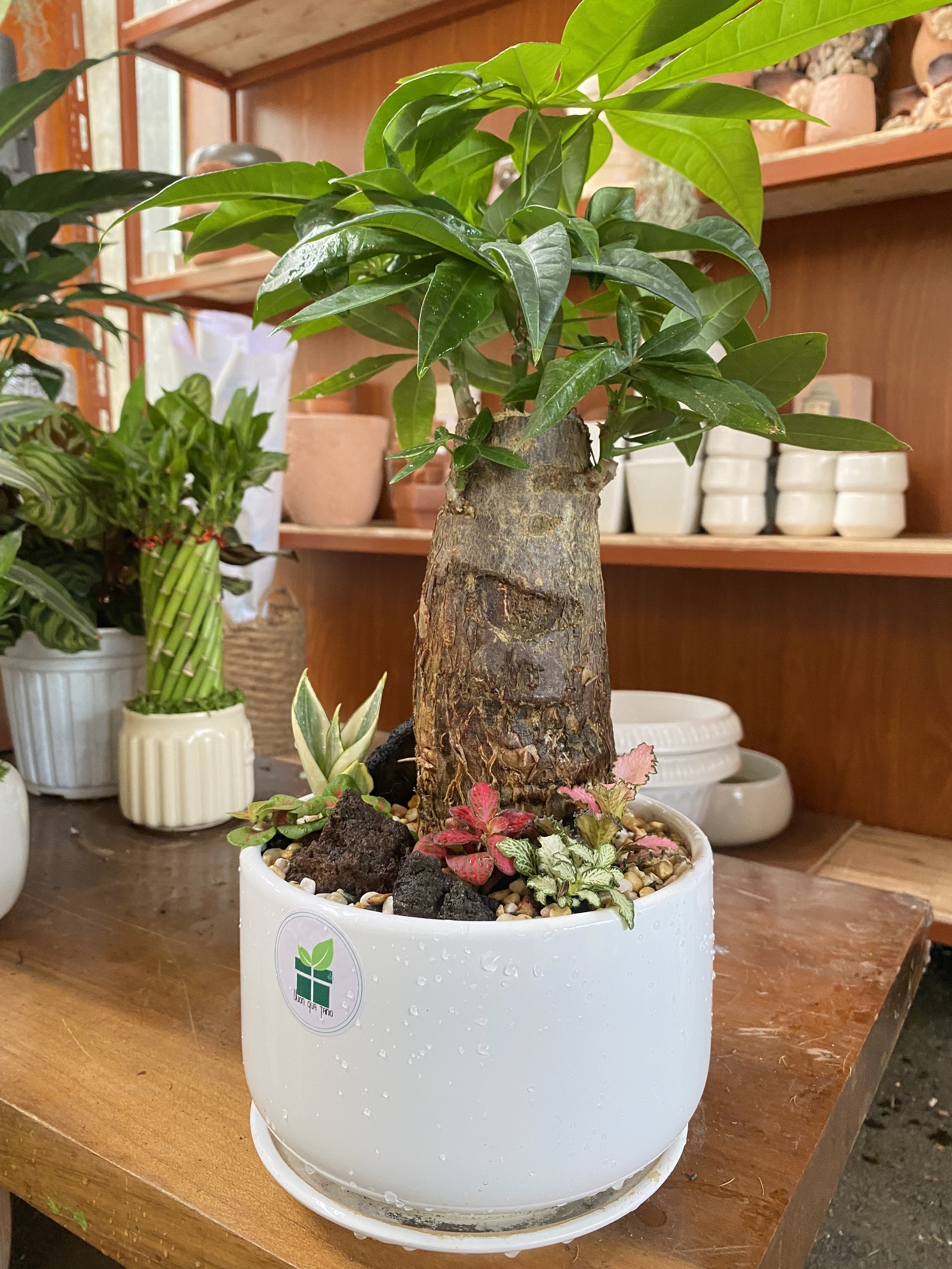 z6536986146176_11161a57ae3580ed259bb733b5d1c7fe