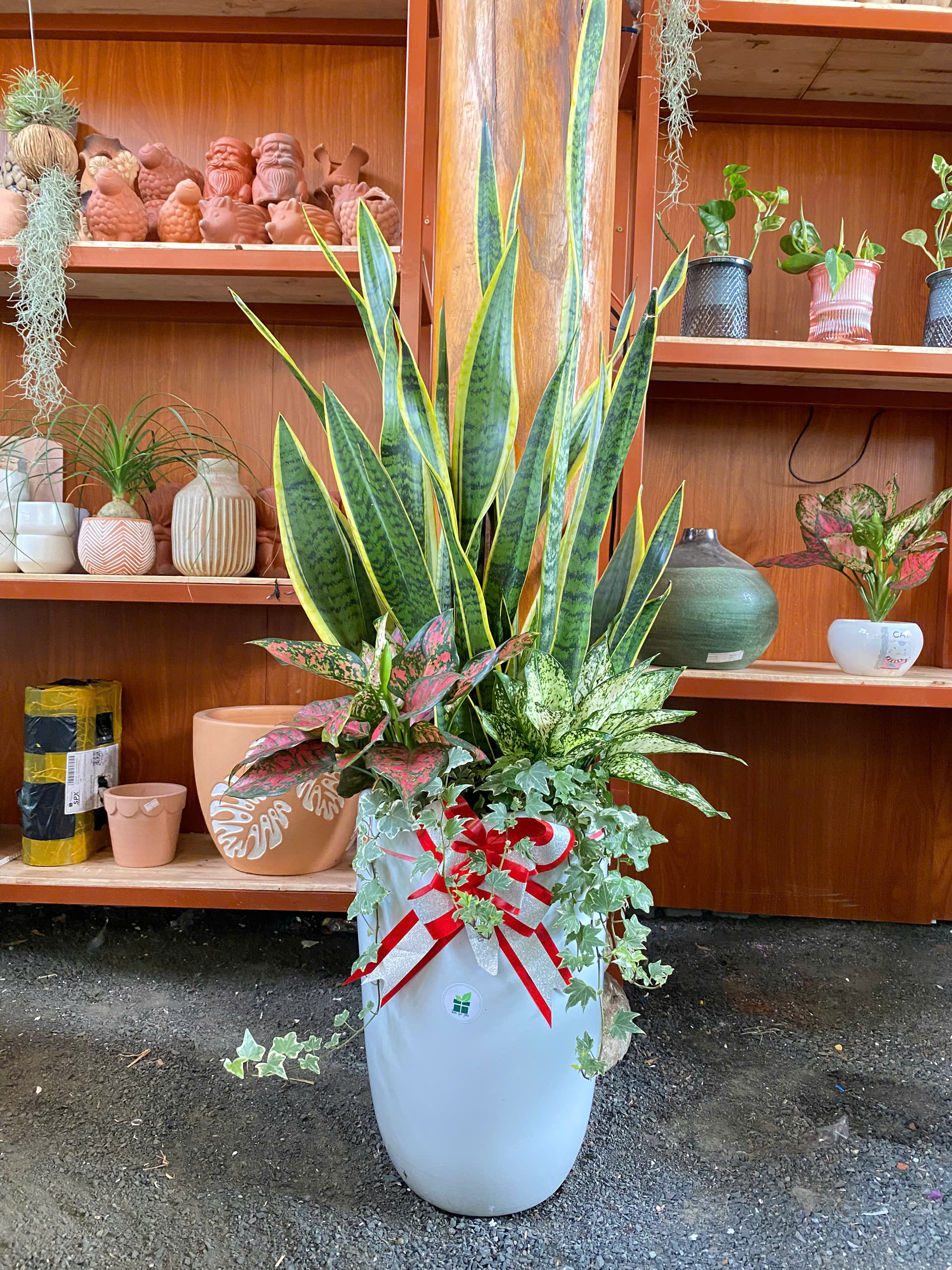 z6503015863406_5d25e3dc22acdc2f58aa8ffd62bda0e7