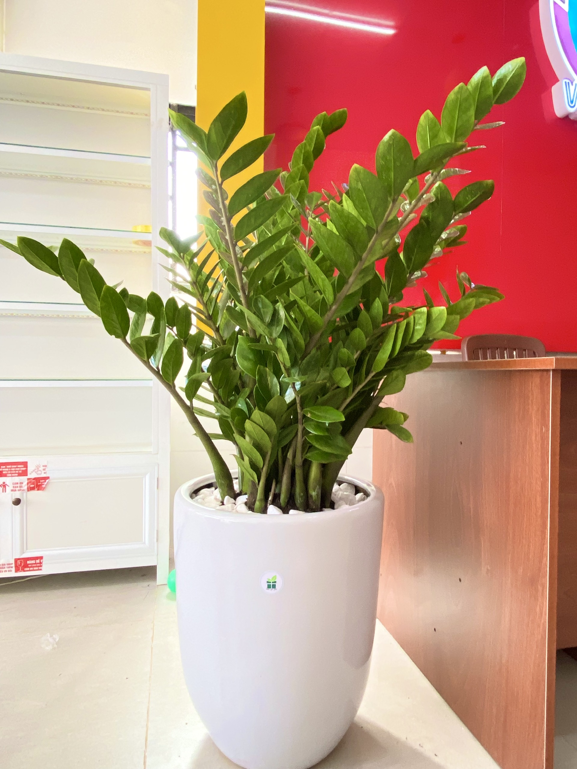 z6506048511434_35c792cf0076f9b96b90cc0063d54589