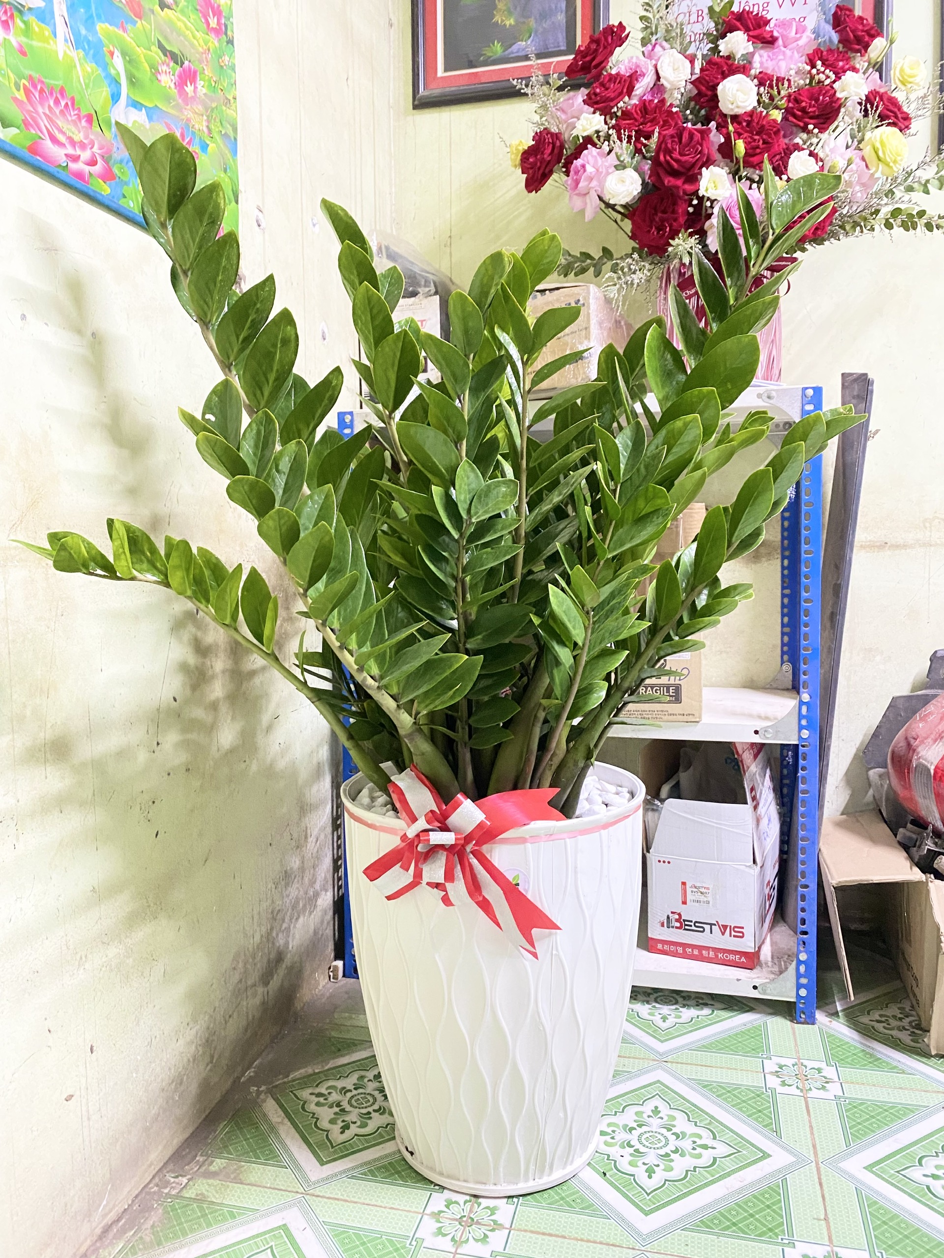 z6506048599842_d1cafeab3e0c1023ecc5d7ec705ff6fd